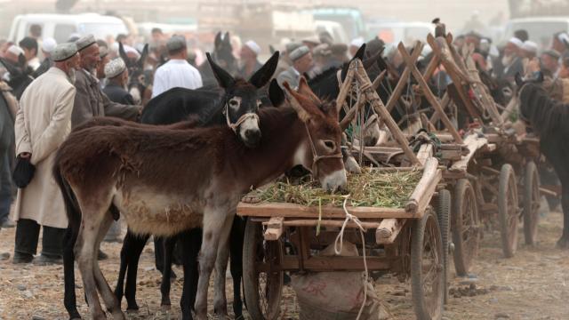 Visit the Sunday Market in Kashgar