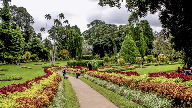 Take a Botanical Gardens tour