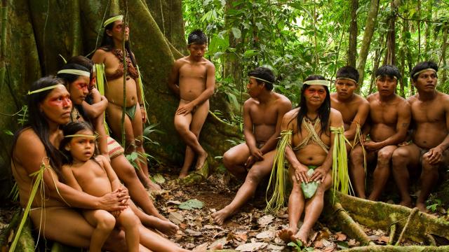 Visit an Amazonian community project