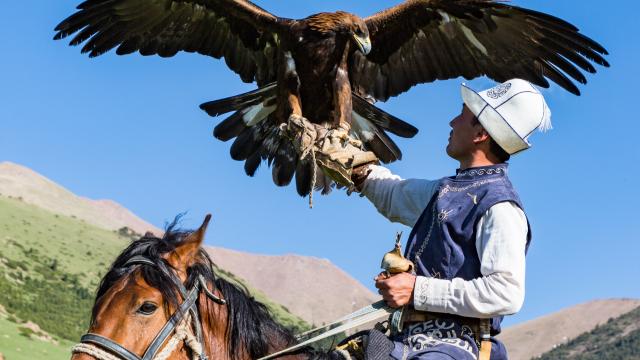 Experience incredible Eagle Hunting