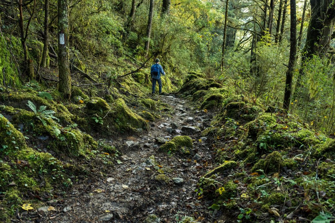 Bhutan Tours | Hiking on the Trans Bhutan Trail | Wild Frontiers