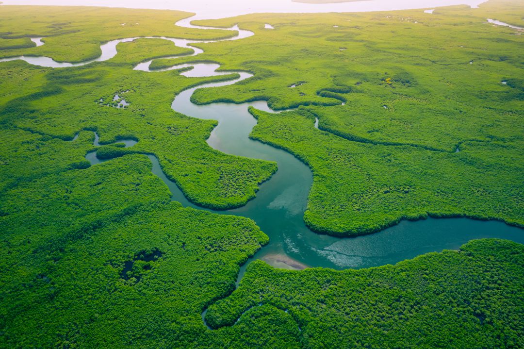 The Gambia