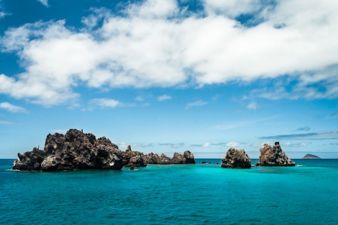 Galapagos Islands (Cruise)