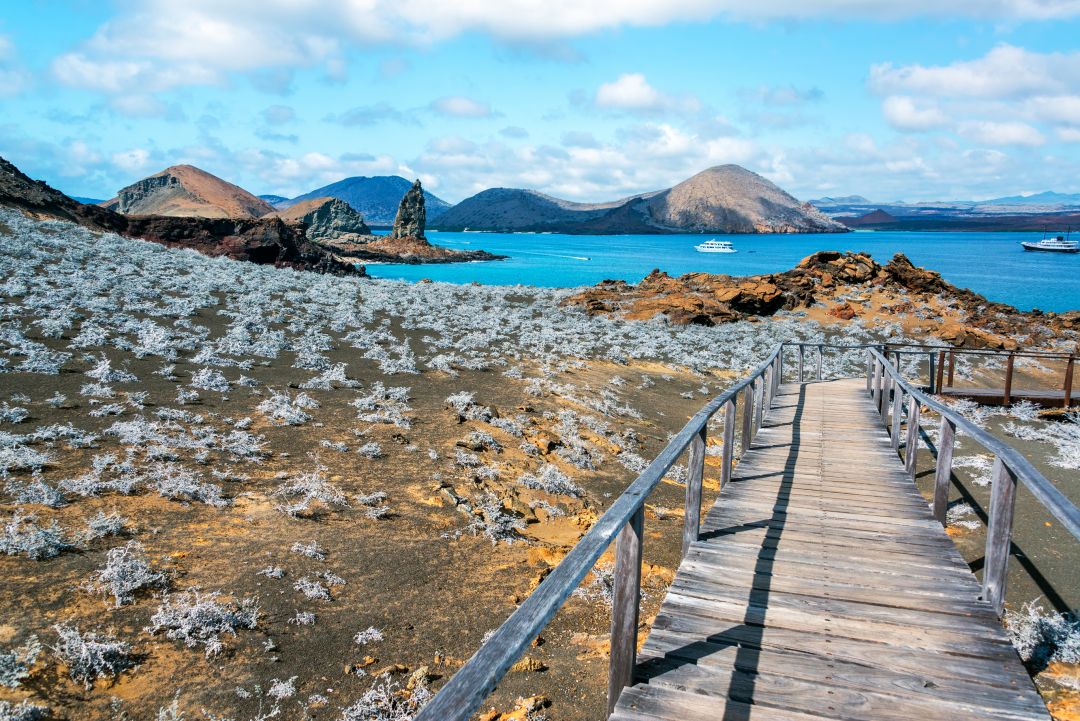 Galapagos Islands (Cruise)