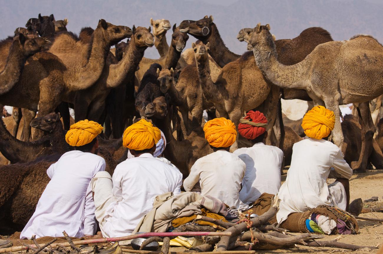 men at down at the Pushkar camel Market Fair