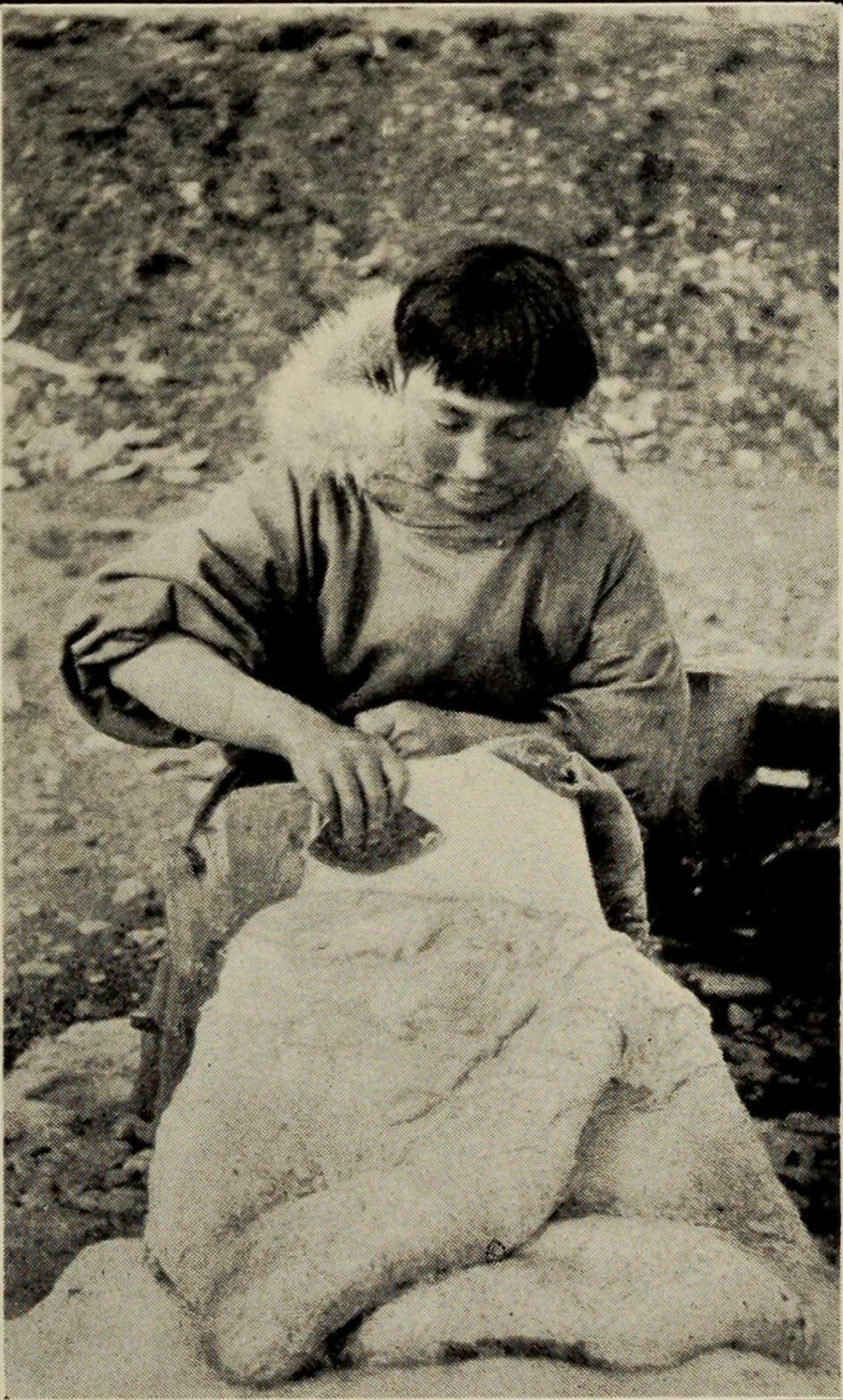 Image from Wikimedia