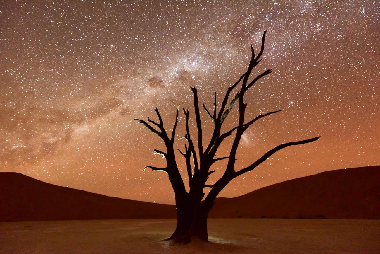 View of the Milky Way in Namib Desert, Namibia with a soulhette of a tree and sand dunes in the background