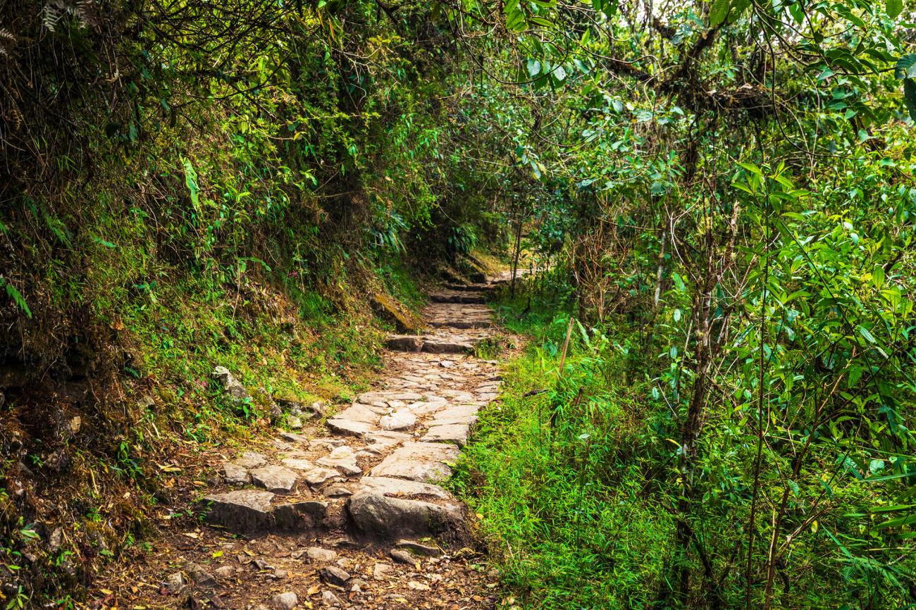 The Inca trails to Machu Picchu from Aguas Calientes