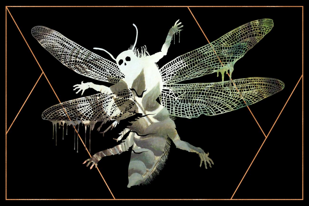 Image credit: Atlas Obscura (https://www.atlasobscura.com/articles/monster-mythology-adze)