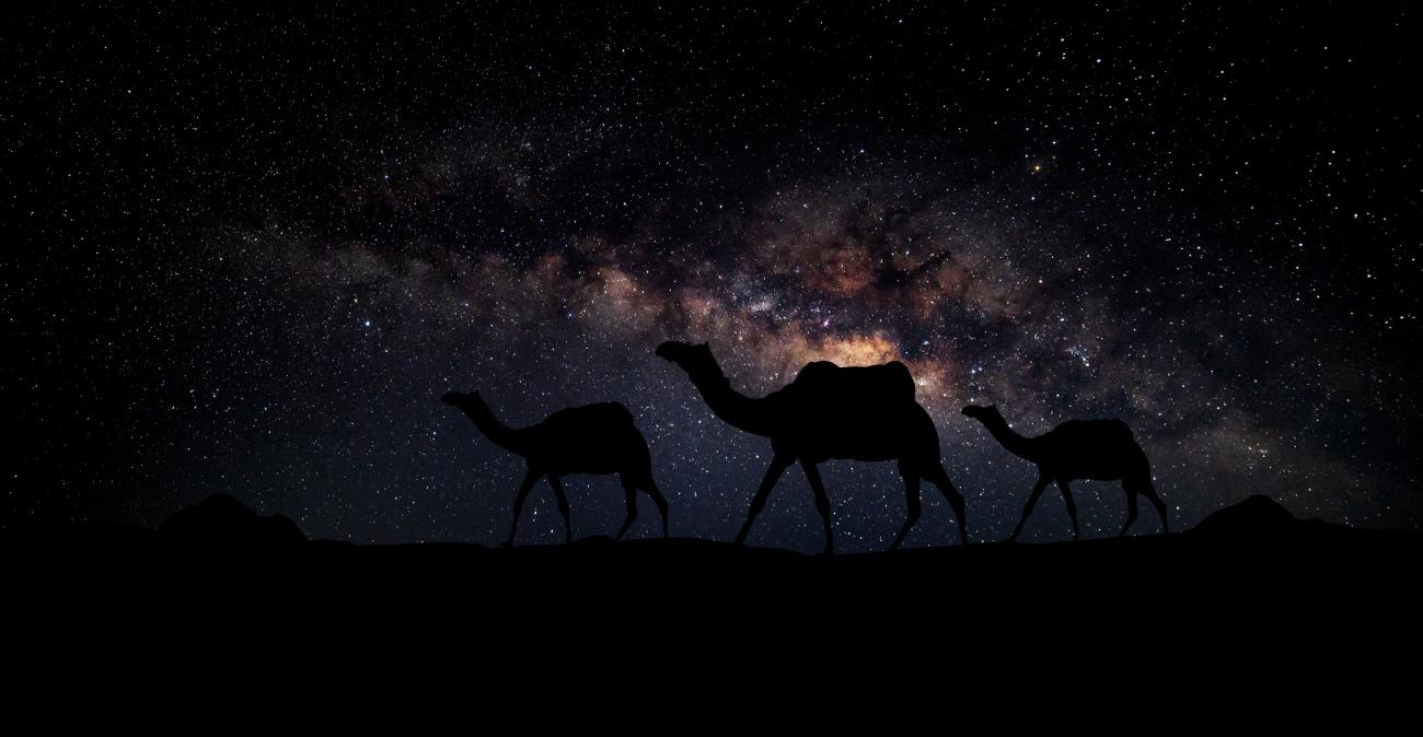Silhouettes of camels walking along a sand dune with the milky way in the background in The Thar Desert, Rajasthan