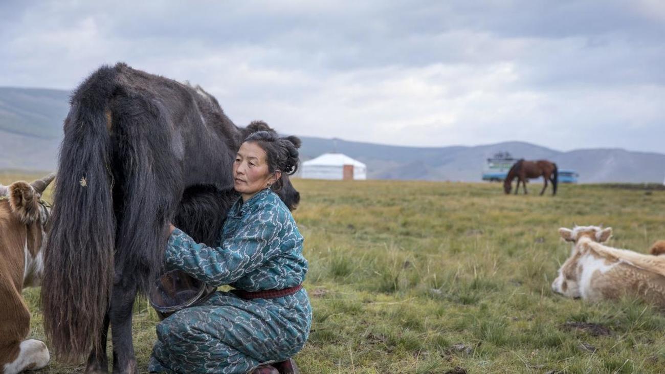 What Do Mongolians Eat