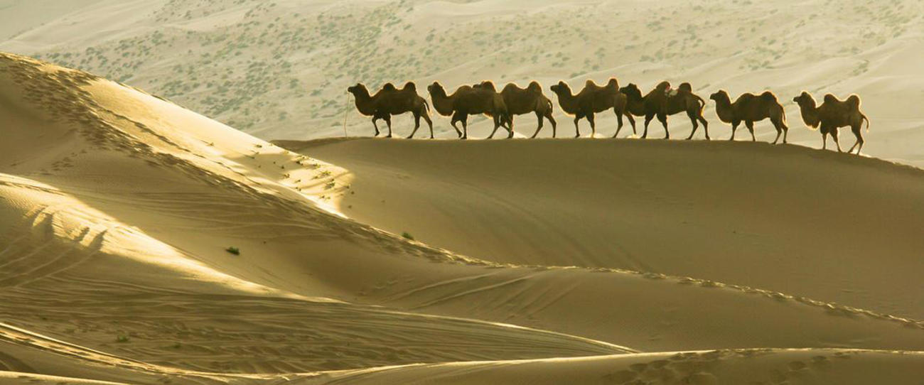 Great Silk Road Tour