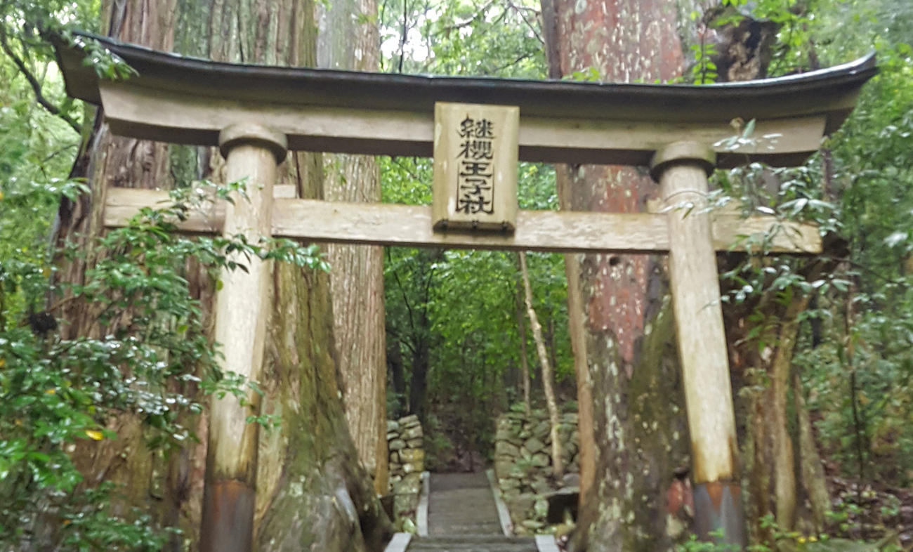Emperor's trail, Japan