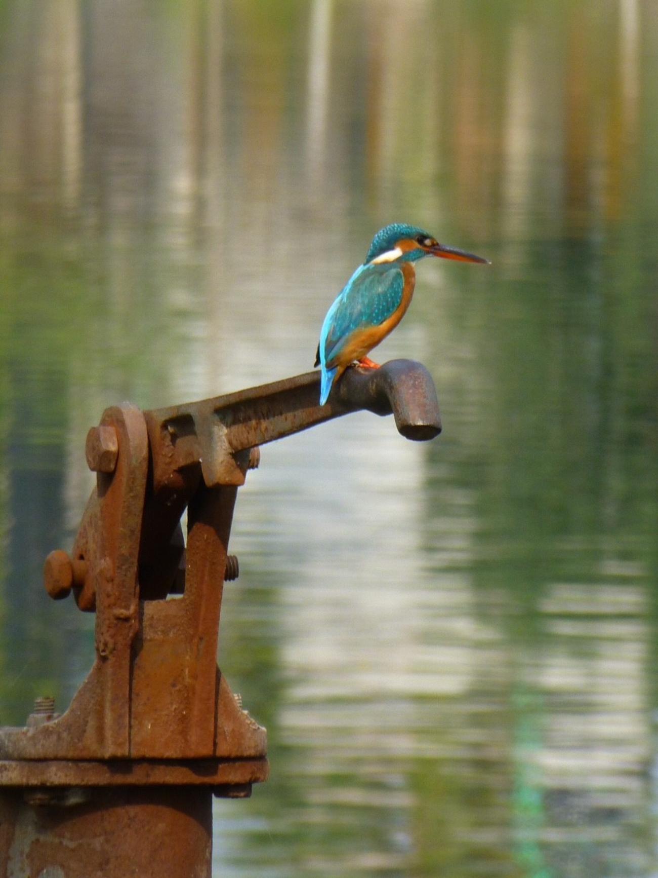 Bangladesh Tour Itinerary | What to Expect in Bangladesh | Wild Frontiers