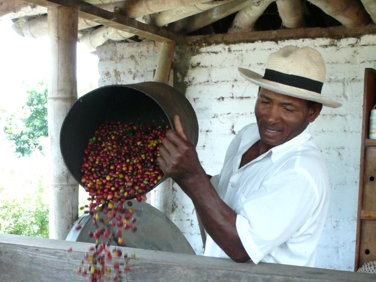 Colombian Coffee Farm