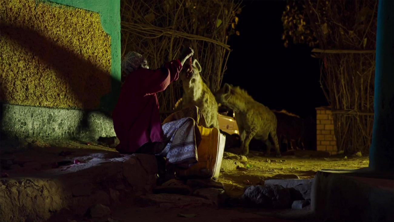 See Harar’s Hyena Man in action