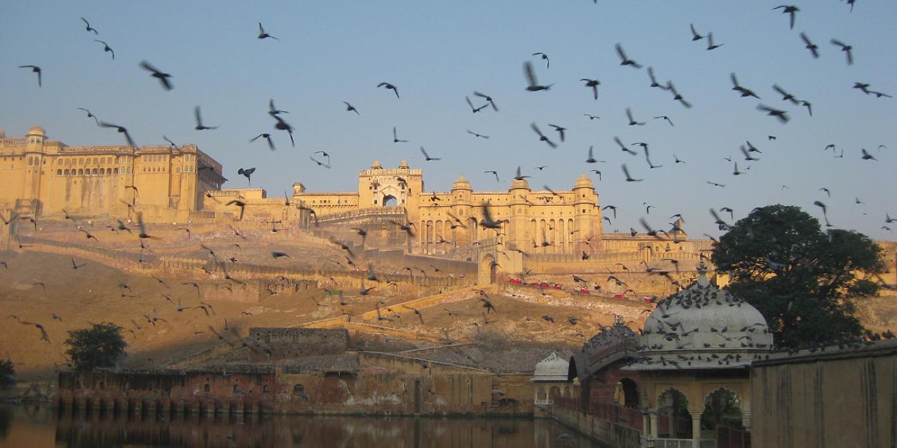 Amer Fort Rajasthan