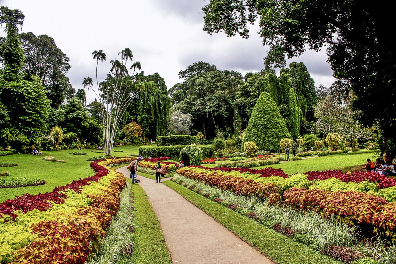 Visit Kandy's botanical gardens when in Sri Lanka