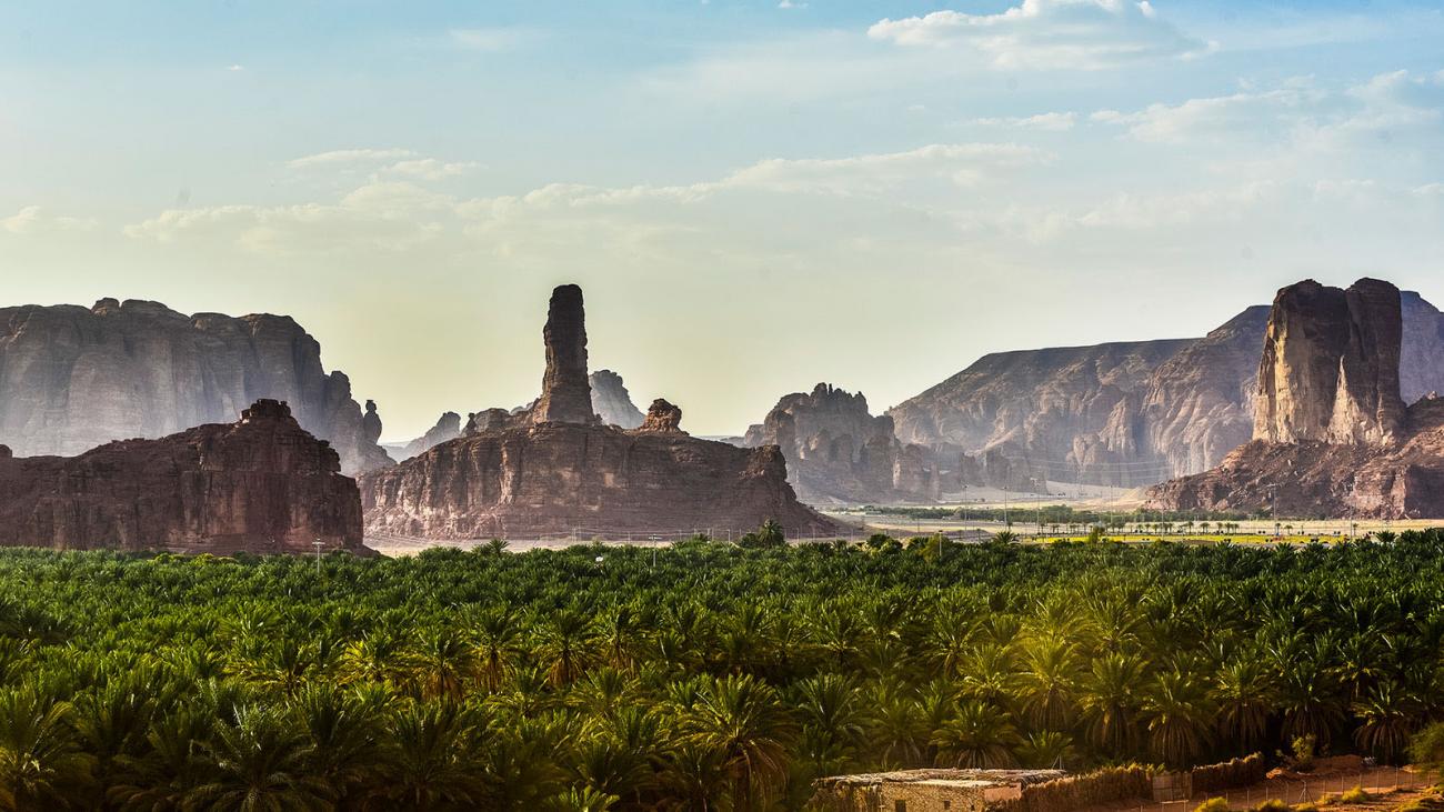 Oasis, AlUla Valley