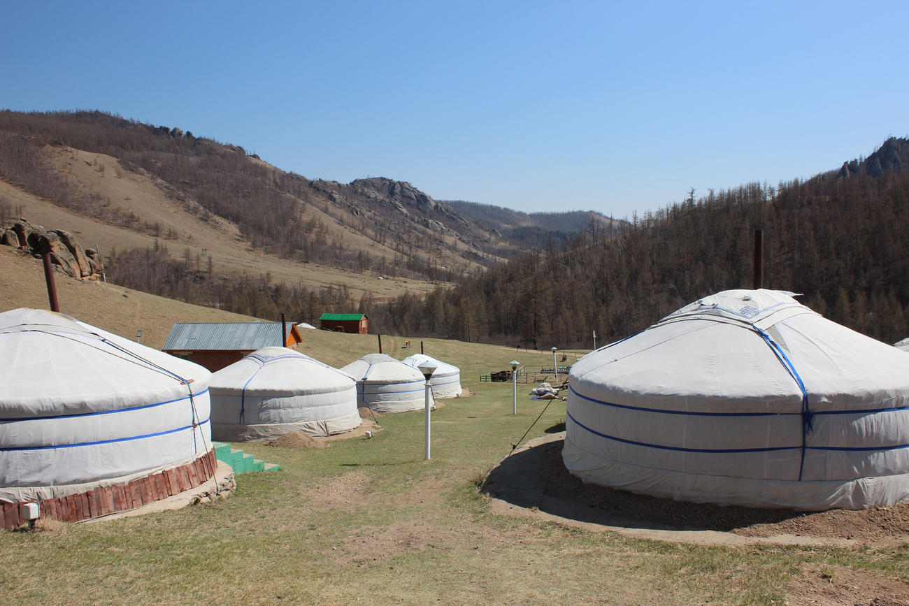Stay in a Ger Camp in Mongolia