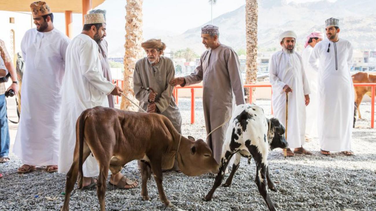 Nizwa Cattle Markets, Oman