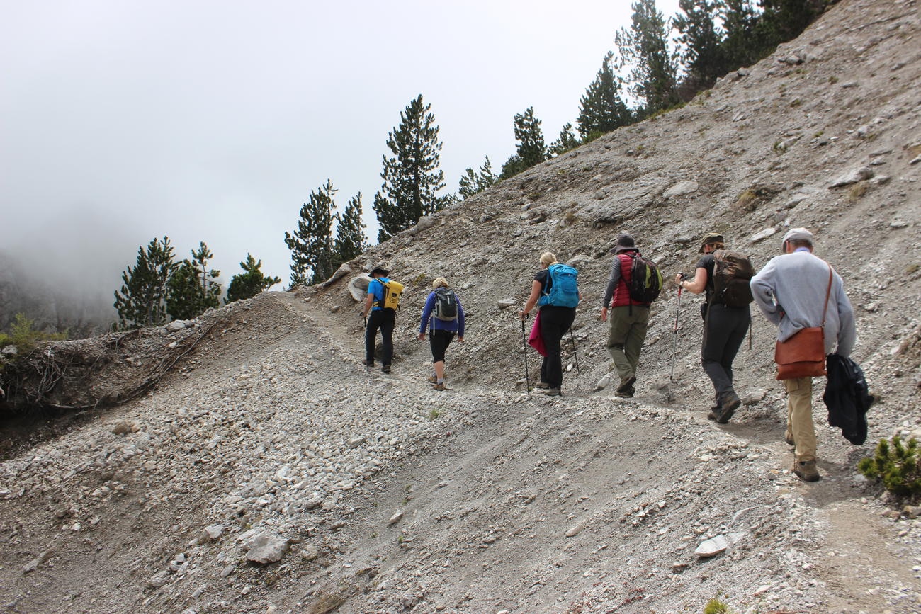 trekking tours