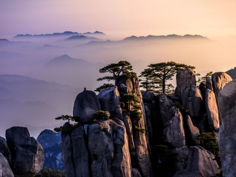 Webinar: China Unveiled