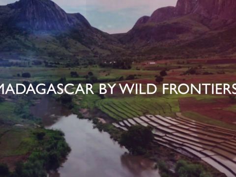 Experts in Madagascar | Madagascar Adventure Tours
