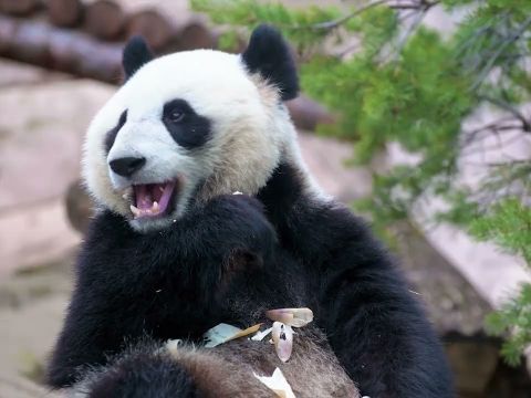China in 60 seconds