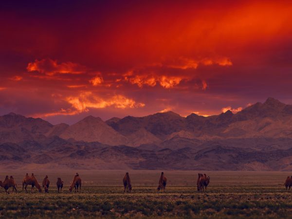 Trending Destinations for 2027